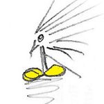Schizzogiallo(3)